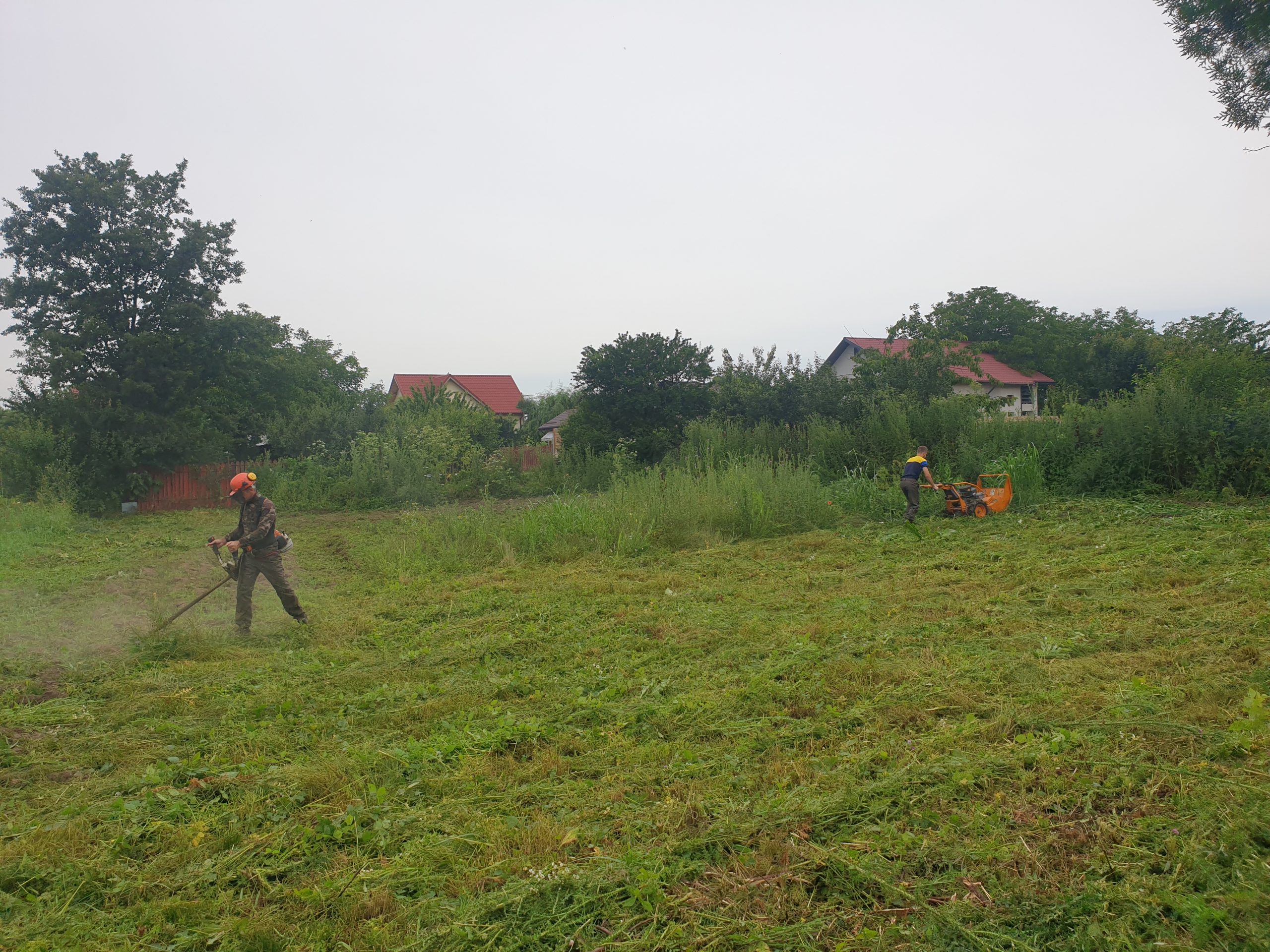Curatare teren, Toaletare copaci Bucuresti